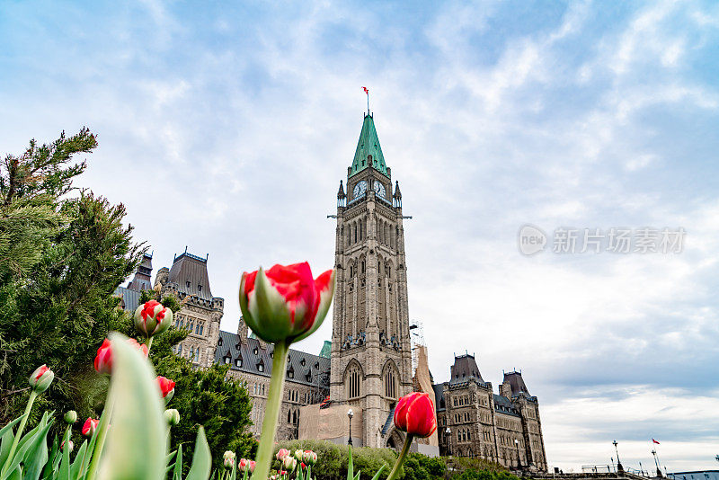 加拿大渥太华国会山的加拿大郁金香节