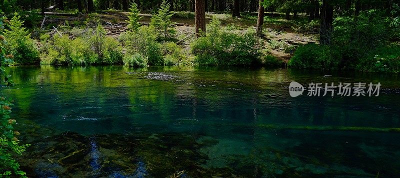 Metolius河原始