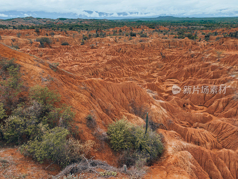 塔塔科亚沙漠景观概述