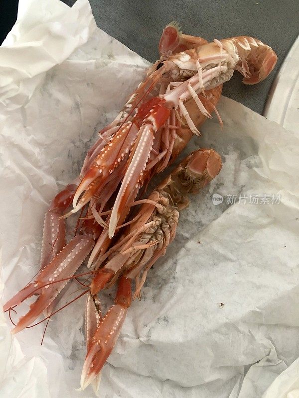 在一张皱巴巴的白纸上放三只新鲜的海螯虾