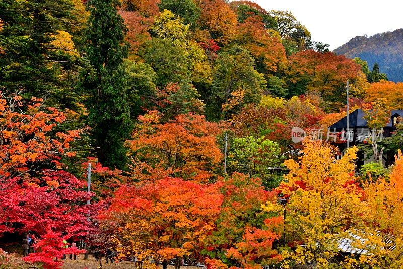 青森县黑石的中野百山公园秋叶