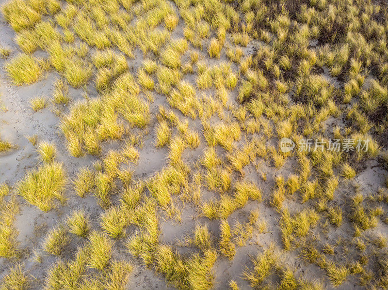 荷兰海牙附近海岸沙丘的鸟瞰图