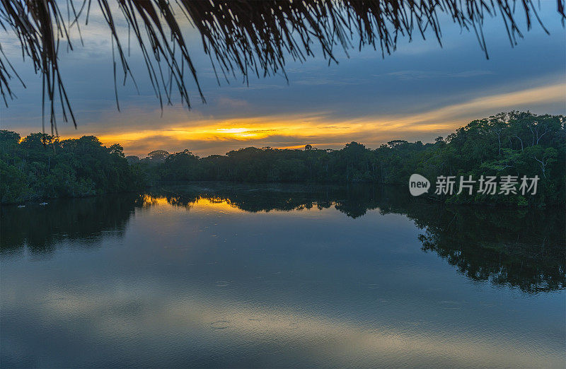 亚马逊雨林的日出