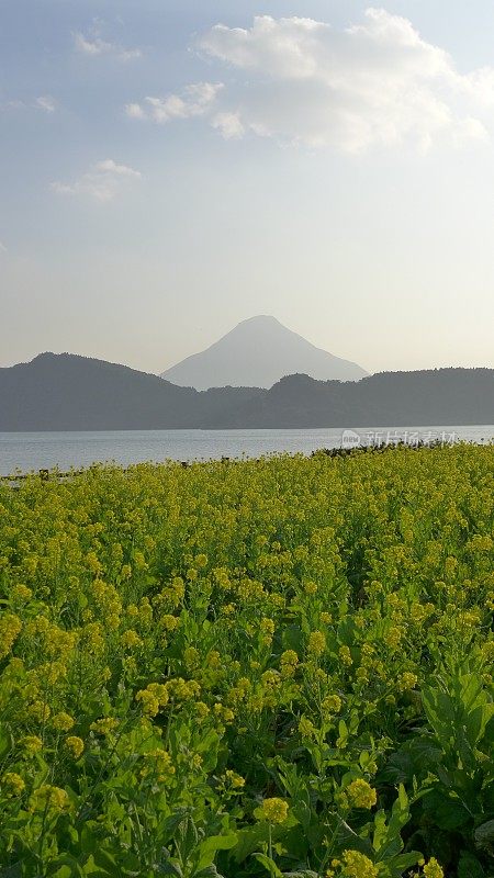 日本鹿儿岛井贯的海门达克山(百座名山)