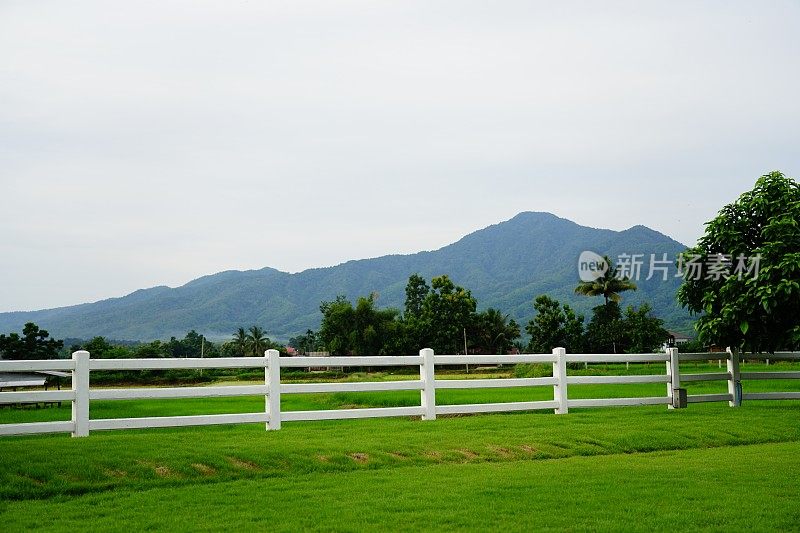 草地上的白色篱笆和玉米地背景