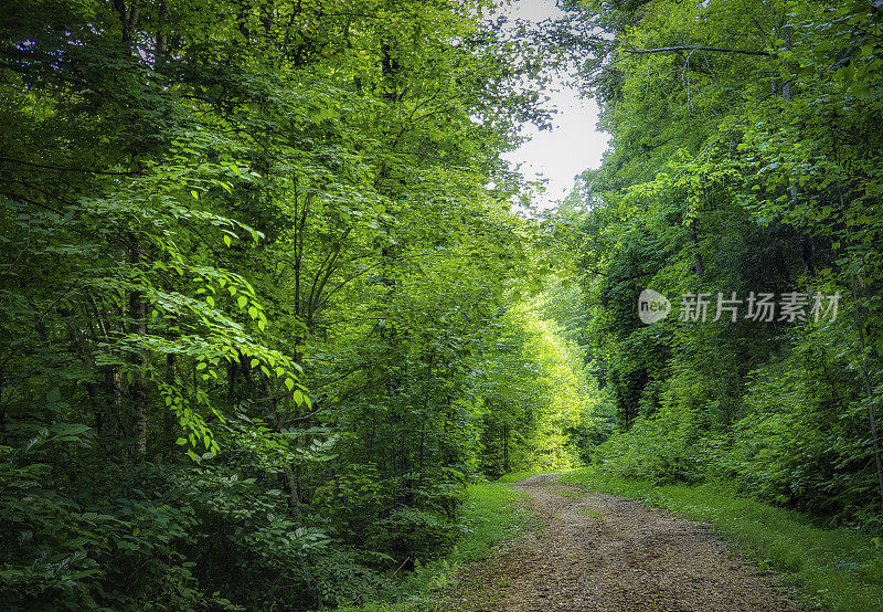 阿巴拉契亚山脉的道路