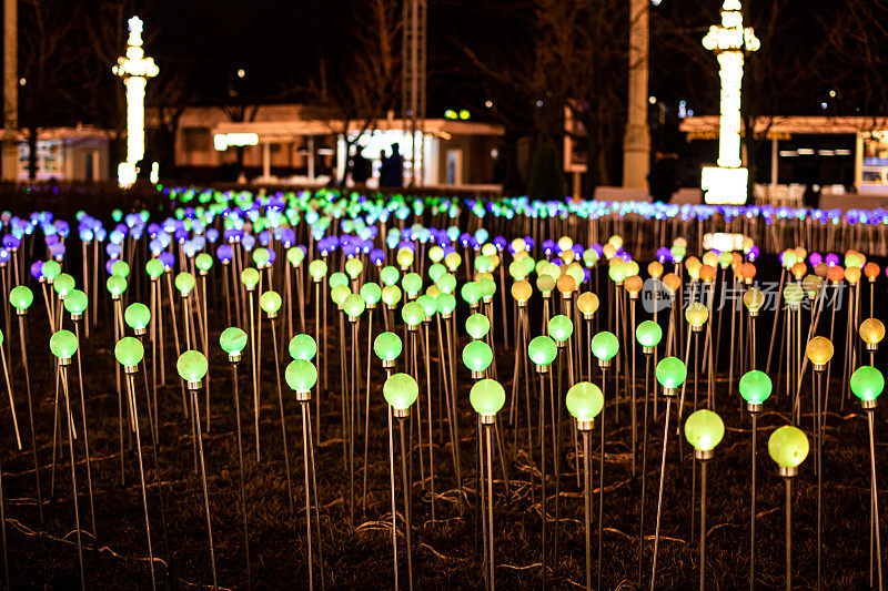 照明花坛在VDNKH公园，灯泡而不是花