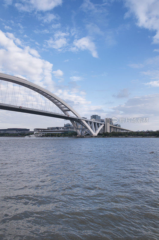 上海中国卢浦大桥横跨黄浦江