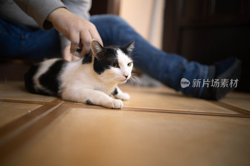 成年男性用手用猫毛护理梳去除猫毛