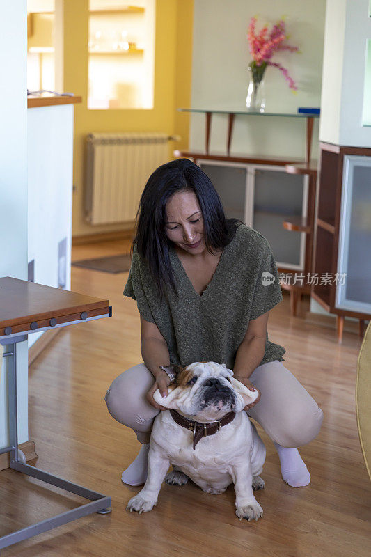 亚洲女人和她可爱的英国斗牛犬之间的友谊。