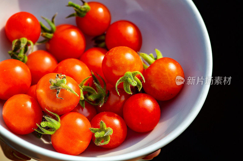 园艺新鲜樱桃番茄