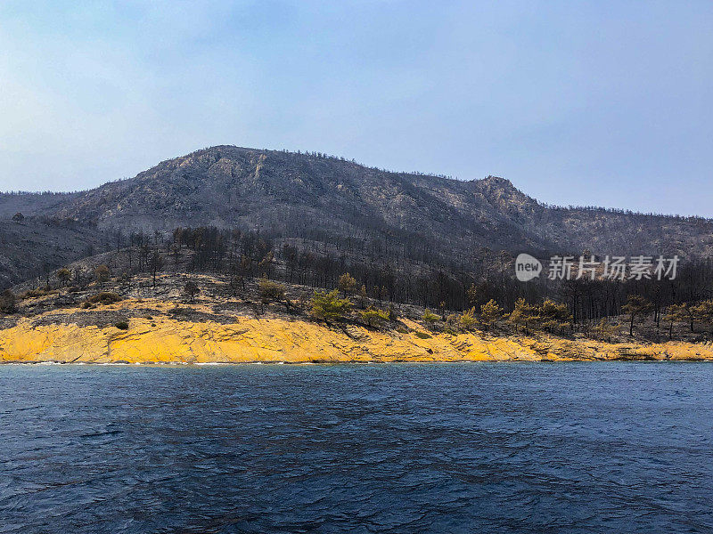 海岸森林大火之后