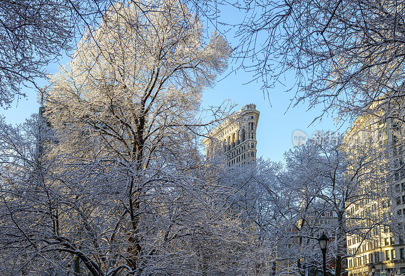 背景是麦迪逊广场公园和熨斗大厦下着雪的早晨