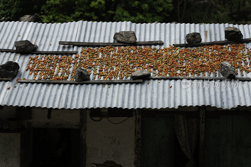 辣椒在屋顶上晒干