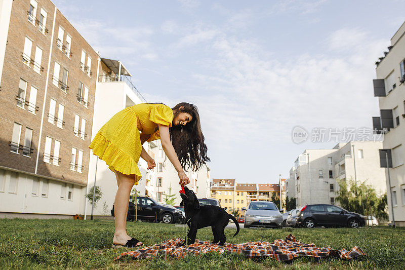 美丽的年轻女子和她的拉布拉多狗野餐