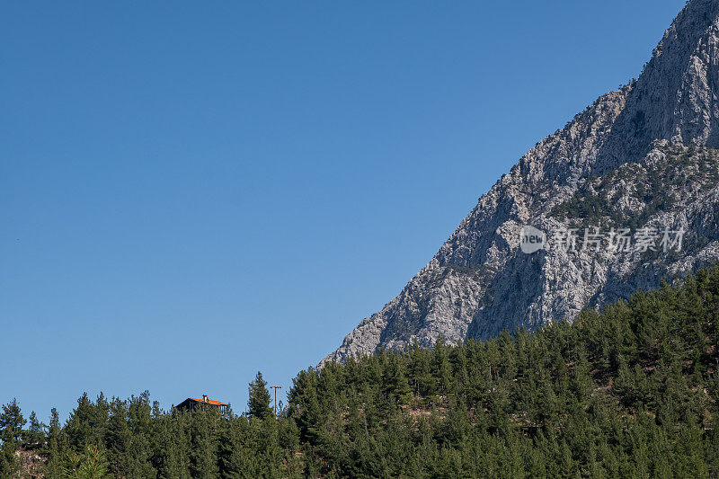 陡峭的，高的，陡峭的岩石山在树林后面