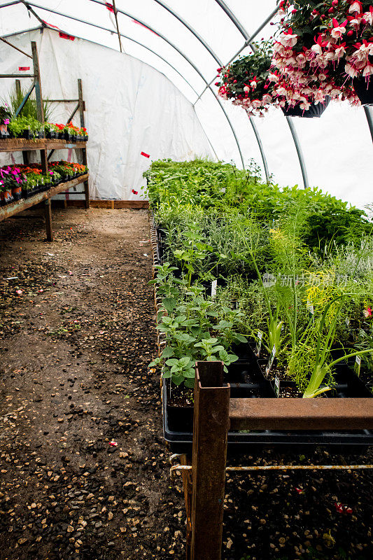 温室内