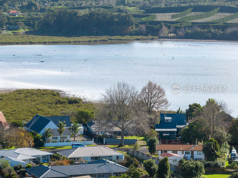 鸟瞰一个郊区在海湾的充裕，新西兰