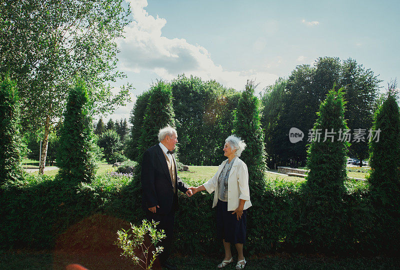 一对老夫妇在绿色的公园里散步。祖母和祖父在金婚纪念日庆典上。奶奶和爷爷手牵着手。五十年的户外浪漫爱情故事。