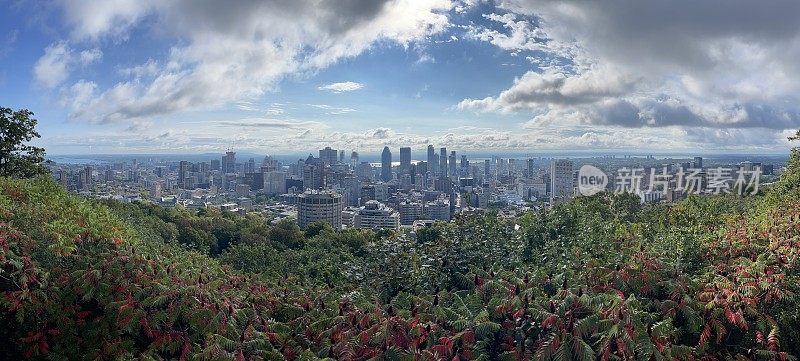 在一个阳光明媚的早晨，从蒙特利尔山上俯瞰蒙特利尔市区