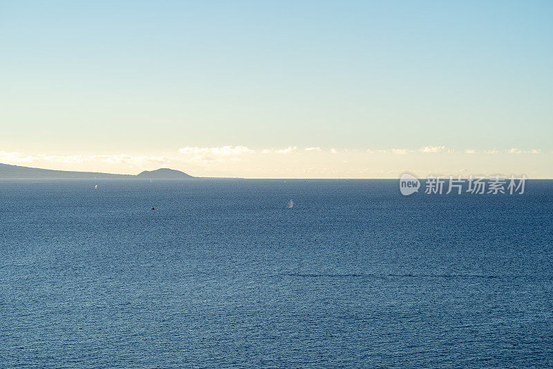 鲸鱼从毛伊岛海岸喷出