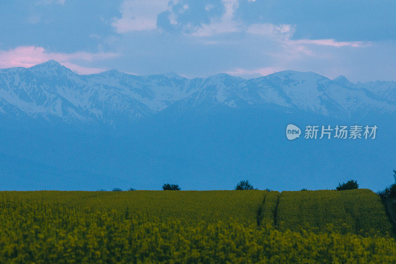 从农田俯瞰群山