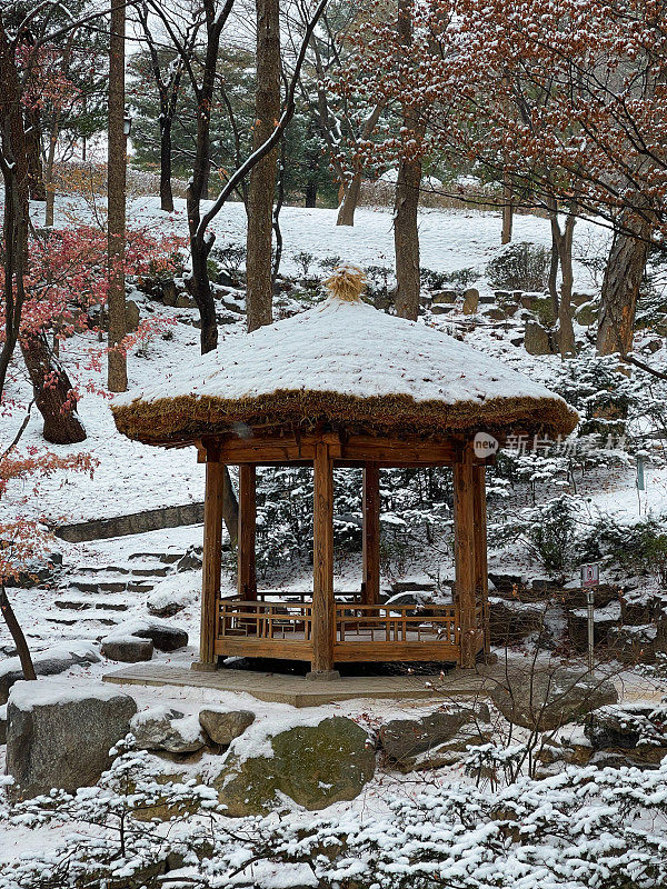 花园里的雪