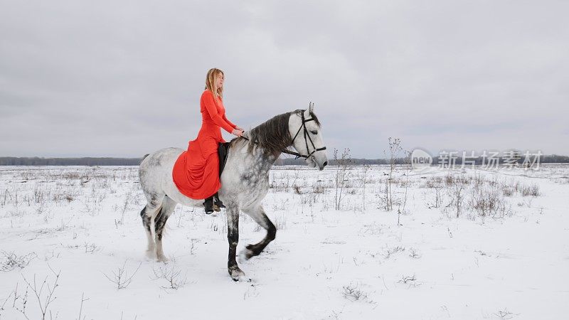 漂亮的女人骑师在一个红色的裙子骑在一个冬天的雪地里