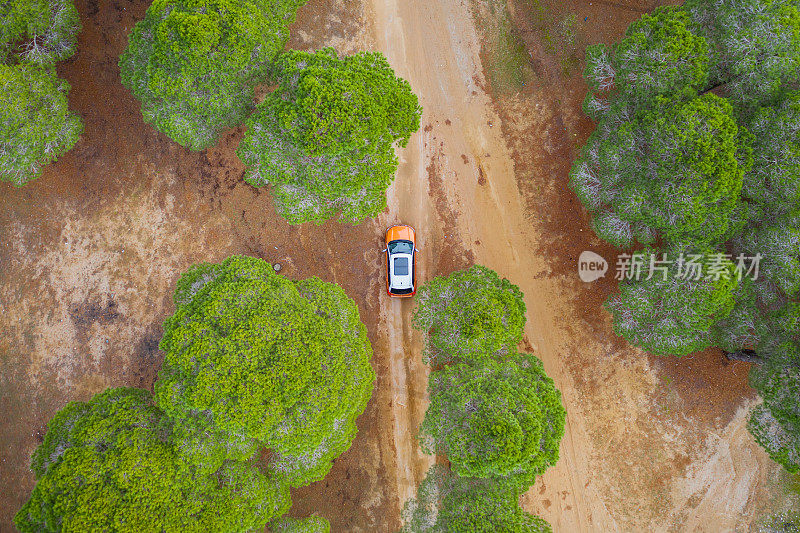 越野车行驶在泥木森林道路的俯视图