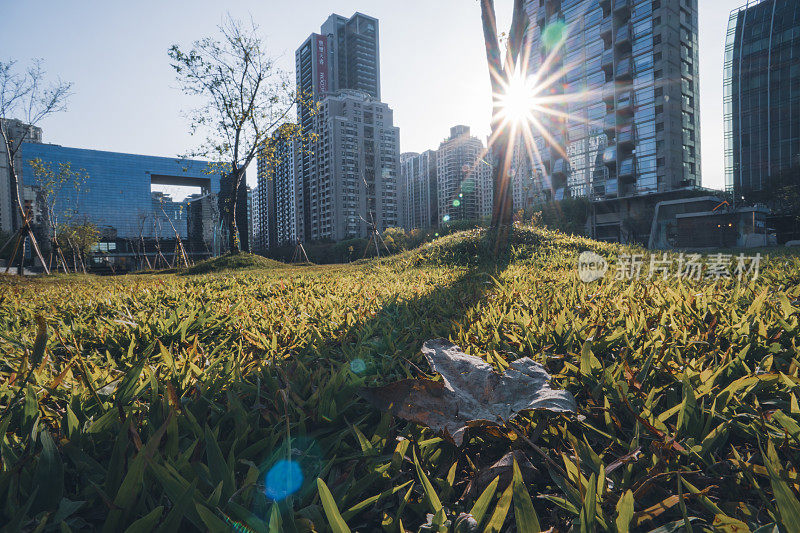 在台湾台中市政厅前的绿地公园，夕阳透过建筑物的裂缝照射进来。