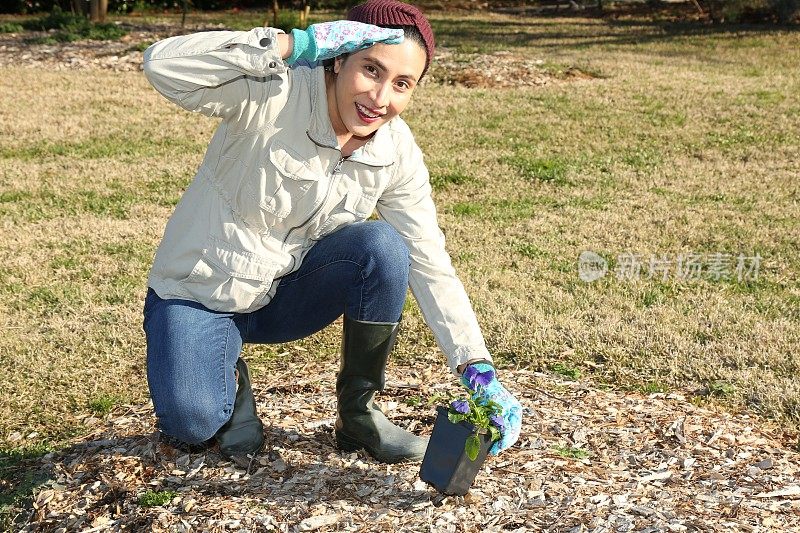 一名妇女通过种植三色堇开始了她的园艺工作