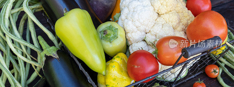 横幅。深色木桌上摆着有机农场蔬菜。新鲜的生菜花，四季豆，西葫芦，玉米，甜菜。副本的空间。