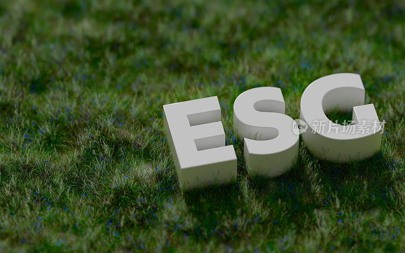 环境、社会和治理的ESG概念，组织可持续发展的理念。考虑环境、社会和公司治理