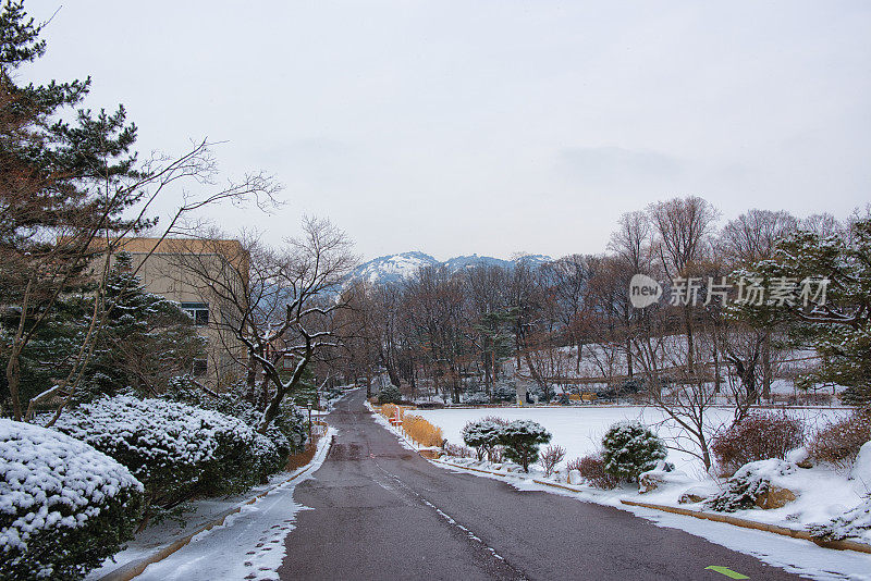 首尔的下雪天