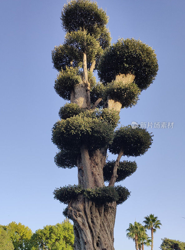 Urla_Izmir_Botanic_Park_October_2022