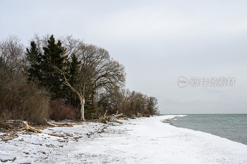 加拿大安大略湖达灵顿公园的冰雪覆盖的海滩