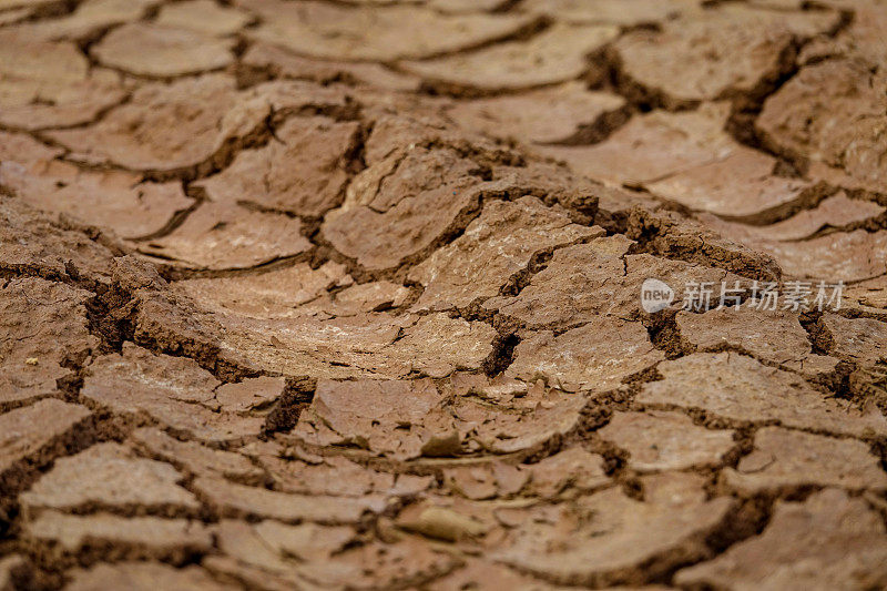 特写，DOF:干燥的沙漠景观和干裂的泥土碎片