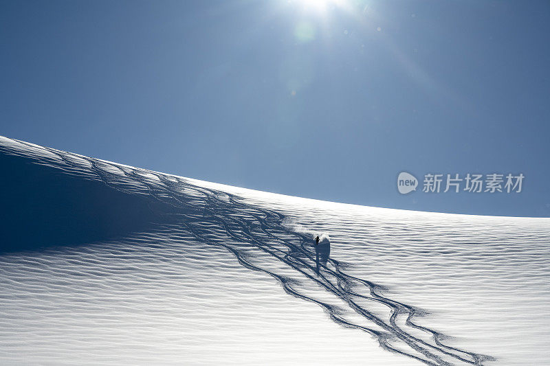 滑雪登山运动员在新鲜的粉雪中下山