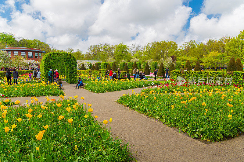荷兰库肯霍夫花园中五颜六色的郁金香