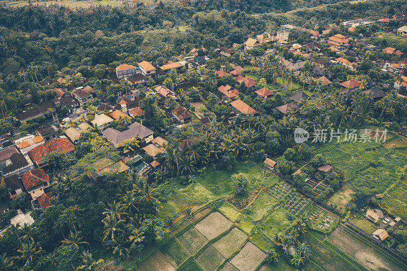 巴厘岛，乌布。