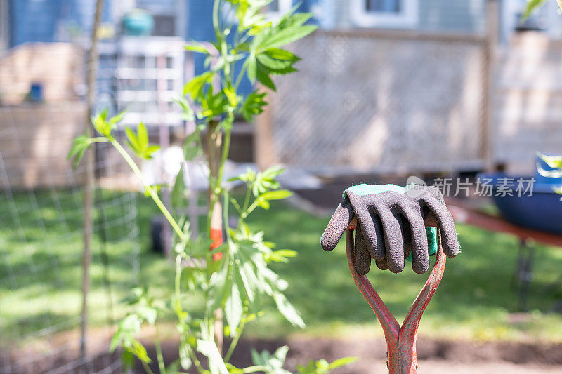 手套放在花园里的铁锹上