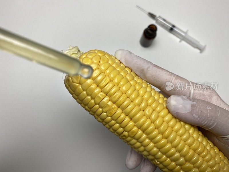 转基因食品研究。转基因生物
玉米转基因研究
玉米转基因研究。
玉米转基因研究
转基因被应用于玉米。转基因研究正在进行中。