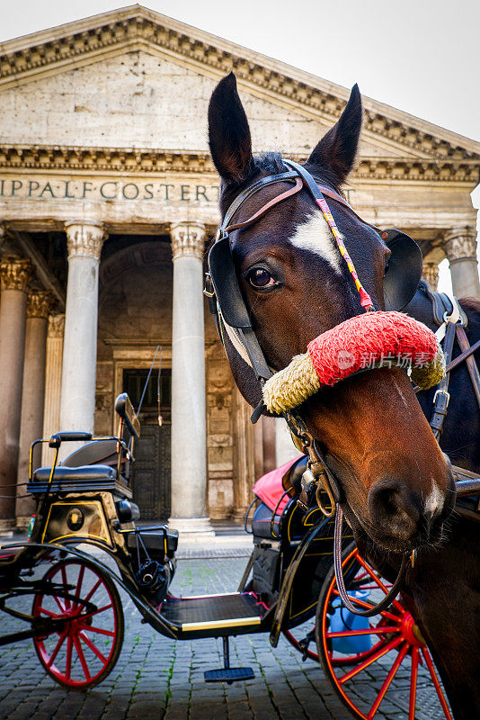 在罗马万神殿前，一匹马在一辆典型的罗马马车旁休息