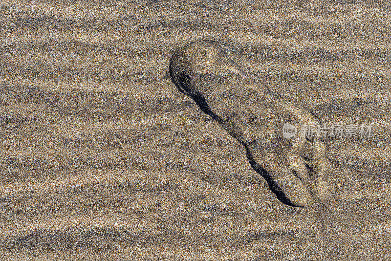 一个脚印留在海边的沙滩上