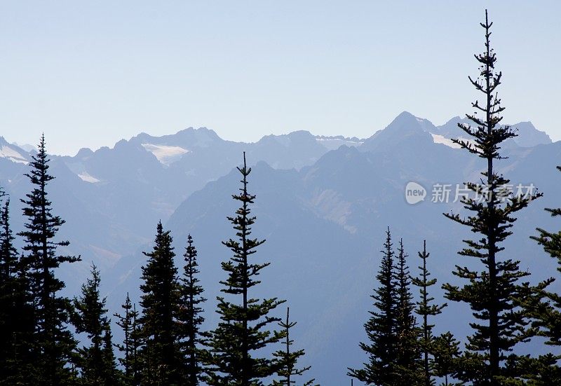 奥林匹克山