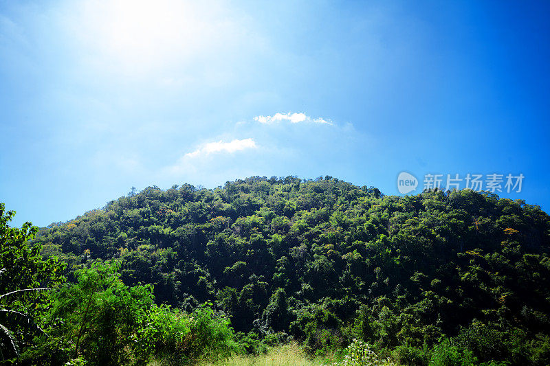 明亮的太阳在蓝色的天空中照耀着风景和树林