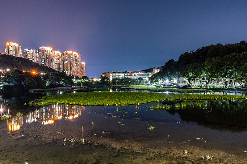 湖泊和城市的景观