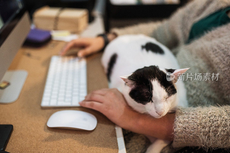 一位女士一边用电脑一边抚摸着一只猫