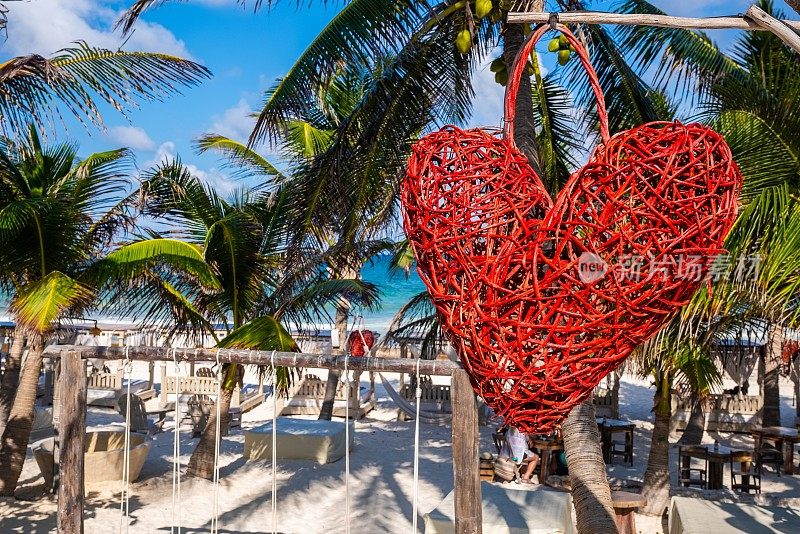 空秋千与心脏形状的物体挂在树在海滩度假村