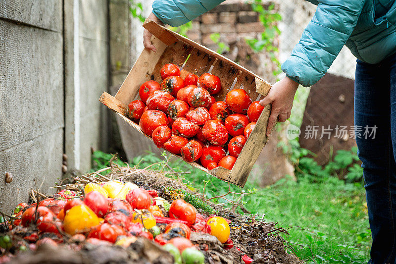 妇女把食物垃圾倒在花园堆肥堆上